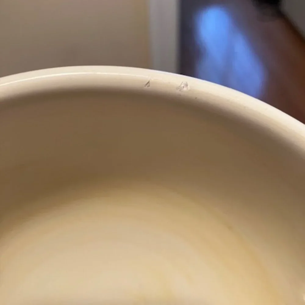 Williams-Sonoma Yellow Leaf Bowl - Made in Italy